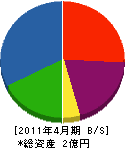 安藤製材所 貸借対照表 2011年4月期