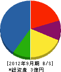 新日電設 貸借対照表 2012年9月期