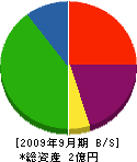 伊藤商店 貸借対照表 2009年9月期