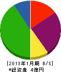 豊田汽缶 貸借対照表 2013年1月期