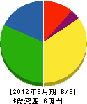 東京ピーシー 貸借対照表 2012年8月期