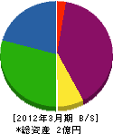 上野産業 貸借対照表 2012年3月期