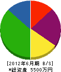 圓井特殊工業 貸借対照表 2012年6月期