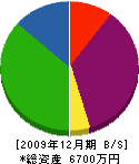 平山工務店 貸借対照表 2009年12月期