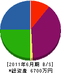 畑山電気工業所 貸借対照表 2011年6月期