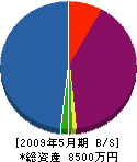 篠田鉄工 貸借対照表 2009年5月期