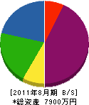 中澤電気工事 貸借対照表 2011年8月期