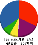 早川塗装 貸借対照表 2010年6月期