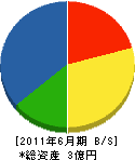 豆田組 貸借対照表 2011年6月期