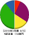 京葉興業 貸借対照表 2010年3月期