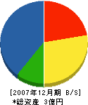 石川建設 貸借対照表 2007年12月期