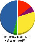 渡辺建設 貸借対照表 2012年7月期
