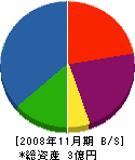 伊藤建設 貸借対照表 2008年11月期