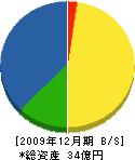 日本水処理工業 貸借対照表 2009年12月期