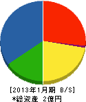 時田電機工業 貸借対照表 2013年1月期