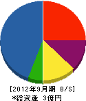 長岡工作所 貸借対照表 2012年9月期