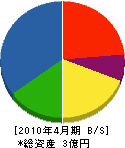 松本組 貸借対照表 2010年4月期