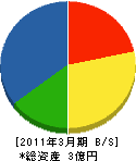 ライフ・コア横浜 貸借対照表 2011年3月期
