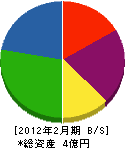 宮澤電池産業 貸借対照表 2012年2月期