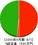 篠田建設 貸借対照表 2008年9月期