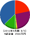 朝日工産 貸借対照表 2012年9月期