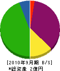 松本機械製作所 貸借対照表 2010年9月期