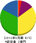 武田園 貸借対照表 2012年6月期