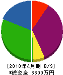 赤松商会 貸借対照表 2010年4月期