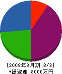 大澤土木 貸借対照表 2008年3月期