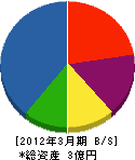 小野里電気 貸借対照表 2012年3月期