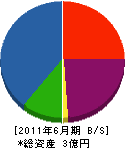 矢野金物 貸借対照表 2011年6月期