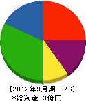 岩田組 貸借対照表 2012年9月期