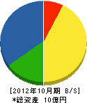 大島組 貸借対照表 2012年10月期