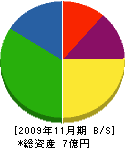 富士建設 貸借対照表 2009年11月期