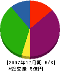 富山大理石工業 貸借対照表 2007年12月期