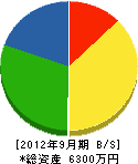 芝田組 貸借対照表 2012年9月期