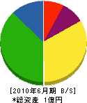 鈴木工務店 貸借対照表 2010年6月期