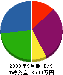 田崎工業 貸借対照表 2009年9月期