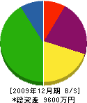 高橋 貸借対照表 2009年12月期