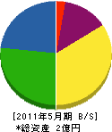 深澤電気 貸借対照表 2011年5月期