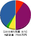 澤田建具製作所 貸借対照表 2010年5月期