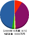 伸栄技研工業 貸借対照表 2009年10月期