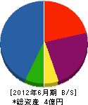 村岡組 貸借対照表 2012年6月期