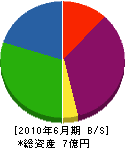 花菱塗装技研工業 貸借対照表 2010年6月期