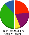 川田組 貸借対照表 2011年5月期
