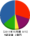 塩崎組 貸借対照表 2011年10月期
