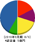 新川建設 貸借対照表 2010年9月期