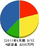 前田鉄工所 貸借対照表 2011年6月期