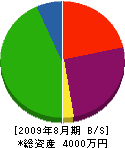 渡辺電機 貸借対照表 2009年8月期
