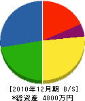 ヤマト設備 貸借対照表 2010年12月期